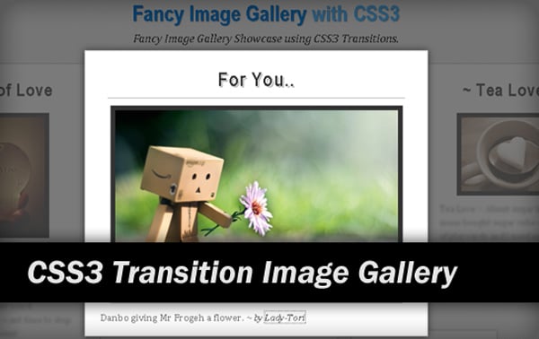 CSS3 Tutorials: Fancy Image Gallery with CSS3 Transitions