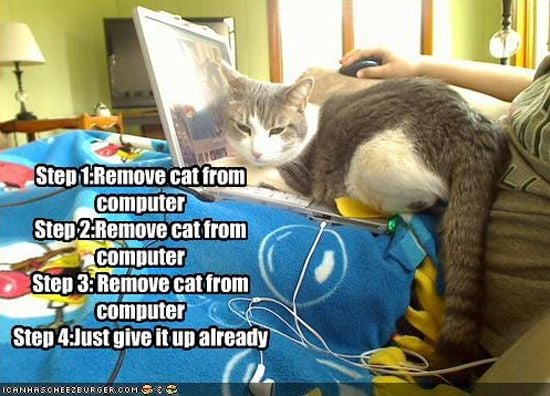 Remove Cat from Computer