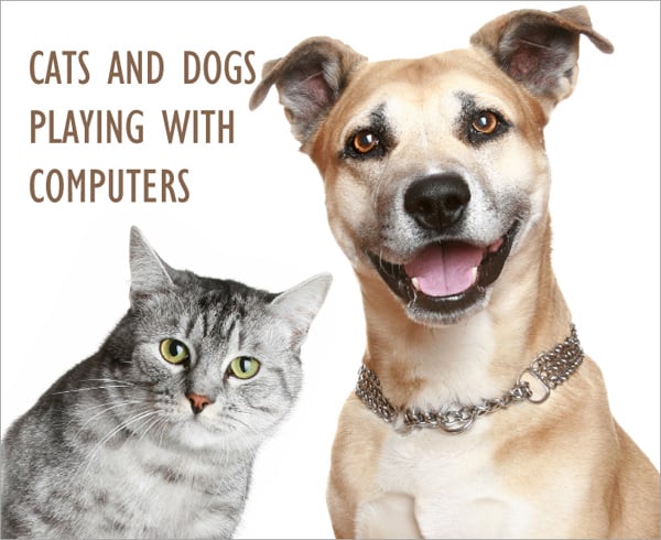 Funny demotivators and cartoons of cats and dogs playing with computers and laptops