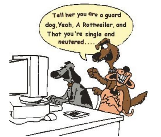 3 dogs are chatting - cartoon