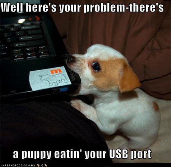 Puppy and USB Port
