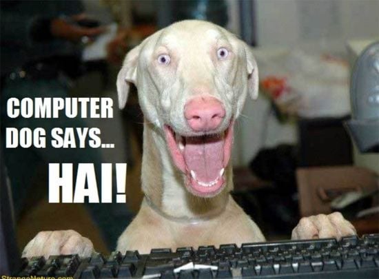 Crazy computer dog says Hi