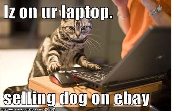 On Your Laptop
