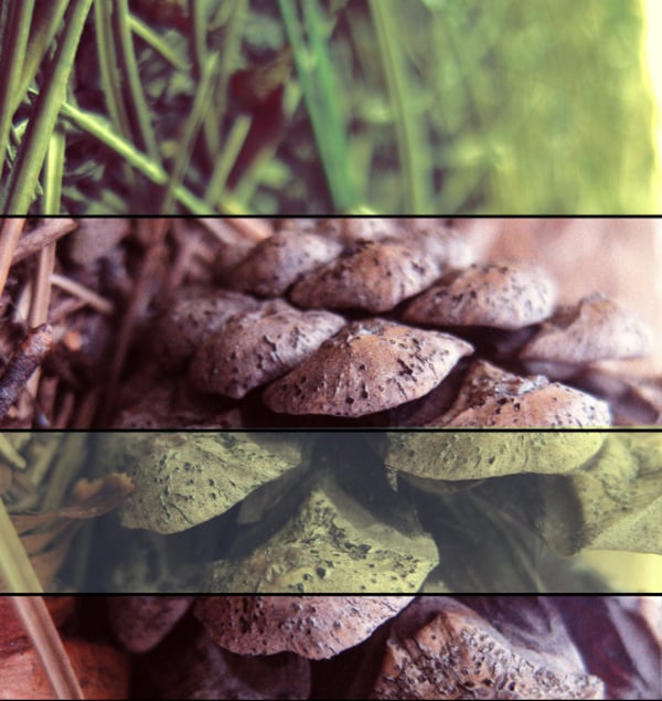 Download This Free Photoshop Action Free Vintage Photoshop Actions