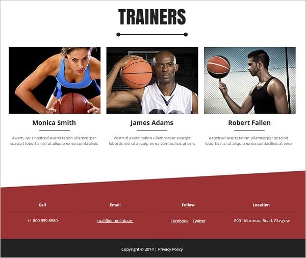 Website Footer - Basketball Website Template