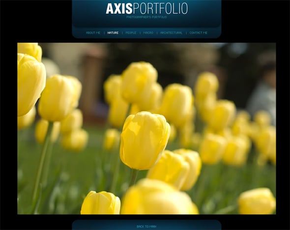 axis_portfolio_1