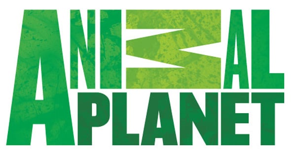 Animal Planet logo