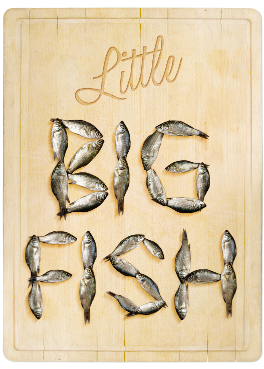 Fish font