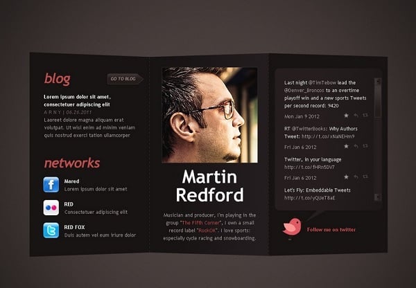 Brochure design - website template