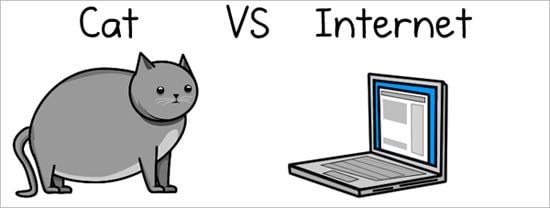 Cat Vs. Internet Infographic