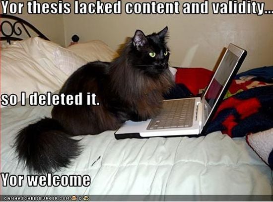 A black cat at a laptop