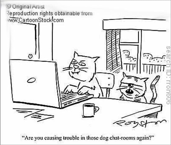 Dog-Chat Room
