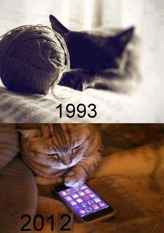 Cats Then and Now