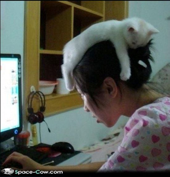 White Kitten Hat