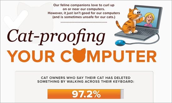 Cat Vs. Internet Infographic
