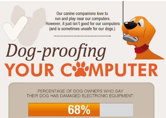 Dog-proofing Your Computer