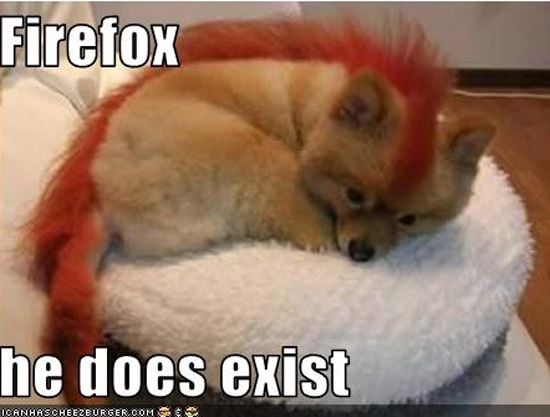 FireFox