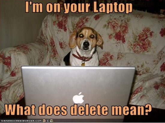 Dog on your computer