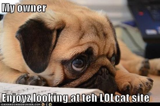 LOLCat sites