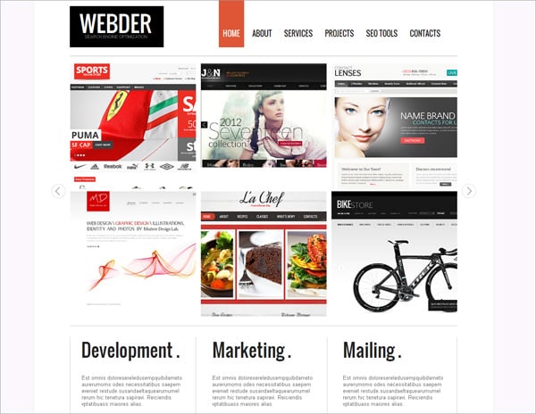 Metro Style Website Templates - The Secret Side of the Latest Design Trend
