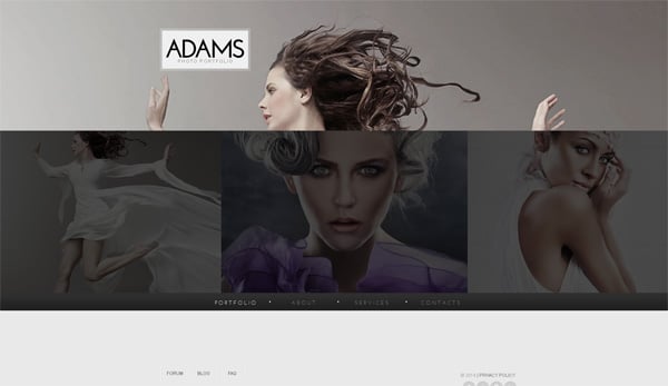 Transparent Elements in Website Templates Design