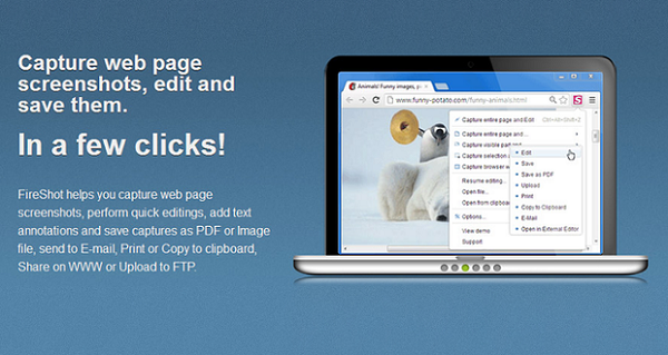 Firefox Screenshot Capture Addons - FireShot