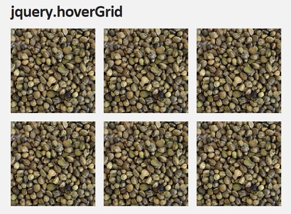 jQuery Grid Gallery Plugins - jQuery HoverGrid