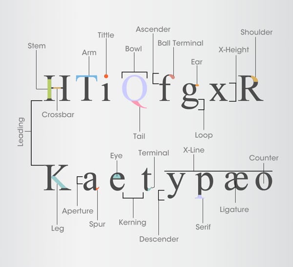 Learn Typography Infographics 