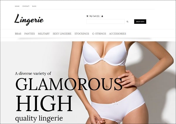 Ecommerce Templates of MotoCMS - lingerie store