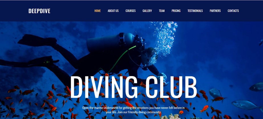 Deepdive Sports Website Design 