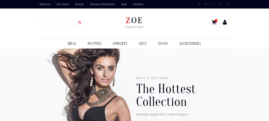 Top 10 Amazing eCommerce Website Design Examples