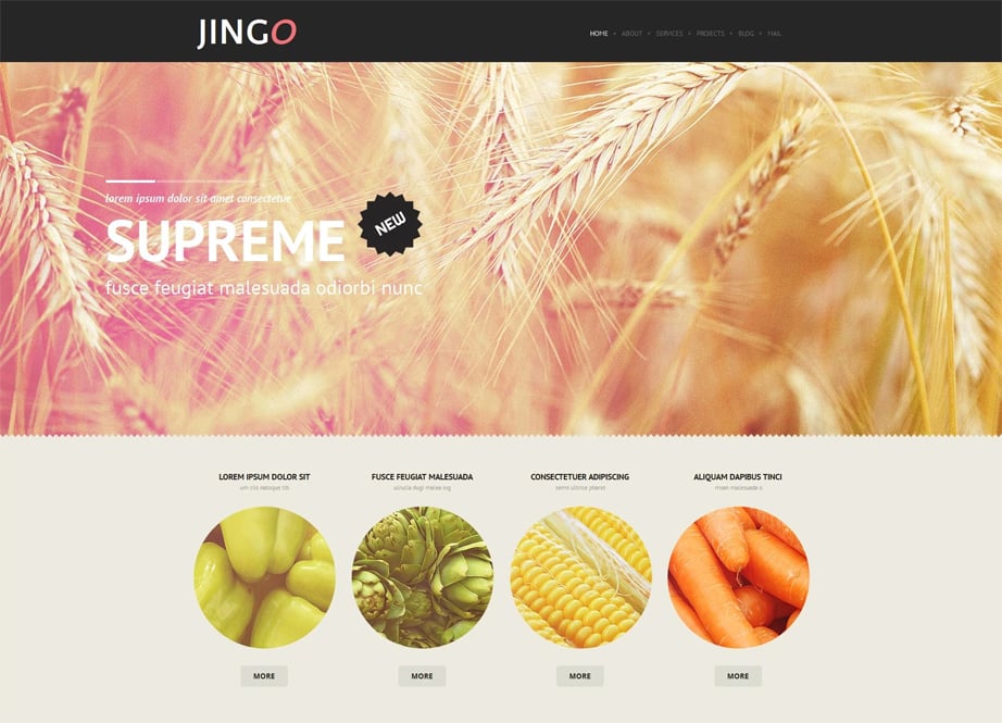 Agriculture Website Design