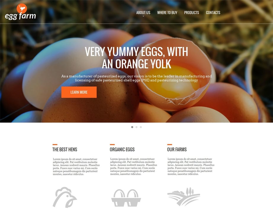  Poultry Farming Website Design