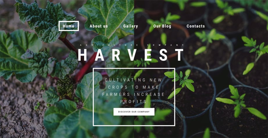 Harvest Website Template