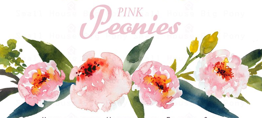 Pink Peonies – Watercolor Clip Art