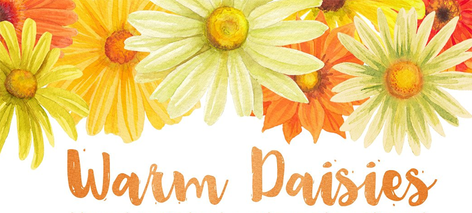 Warm Color Daisy Florals